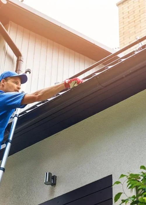 professional-gutter-cleaning-on-ladder